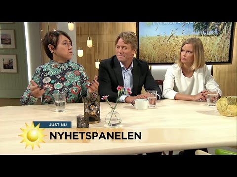 Nyhetspanelen om Macchiarini-affären, parkeringsmygel, Assange och prinskronor - Nyhetsmorgon (TV4)