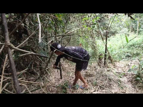 SE02EP51 PART 2 - SURVIVING the FOREST | Paano MAGHANAP ng PAGKAIN sa GITNA ng KAGUBATAN