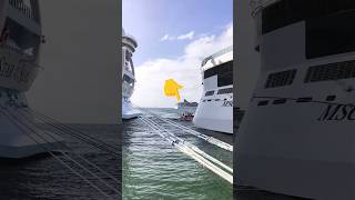 🤯😱WAIT FOR END...🫷 #viewersloverviews #cruise #shorts #travel #2026 #viralsong #viralvideo