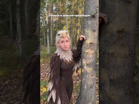 Птица в дикой природе/птица в городе: