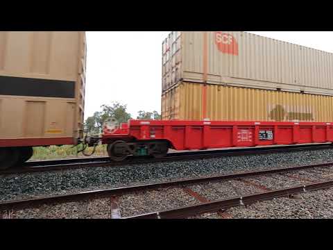 CSR006 at Yarrabandai NSW.  Wed 10th Nov 2021