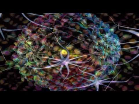 Kiriyama - Ablaze (Time Warp Mix) Psytrance Video - Devil's Mind Records