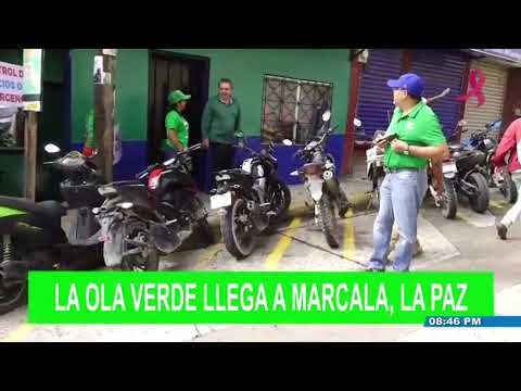 LA OLA VERDE LLEGA A MARCALA LA PAZ