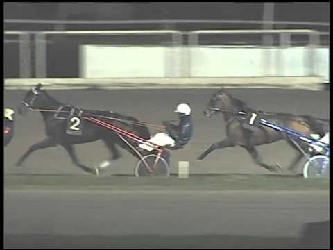 Trotto 02/12/2014 - 5° corsa