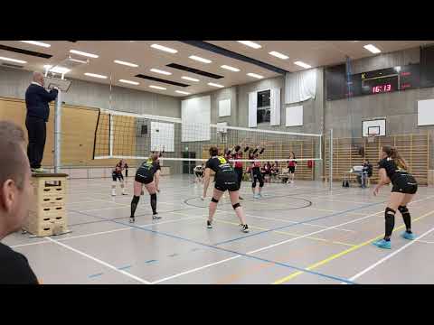 Tiikerit - WoVo 3 16.11.2019