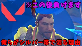 シルバー帯が一番楽しい