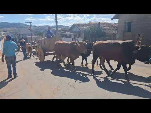 4° Encontro de Carreiros de Turvolândia MG 