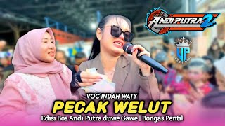 Download lagu PECAK WELUT • INDAH WATY • Andi Putra 2 • Edisi Bos Andi Putra Duwe Gawe mp3