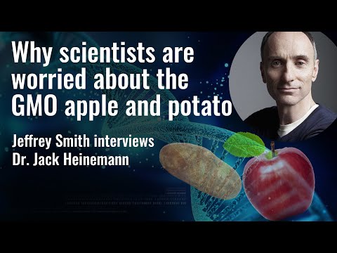 Why scientists are worried about the GMO apple and potato