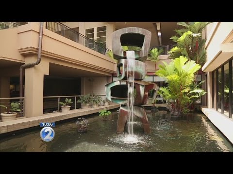 Hawaii malls say public safety always a priority