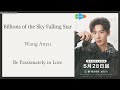 从天而降的亿万颗星 Billions Of Sky Falling Stars 王安宇 Wang Anyu 陷入我们的热恋 