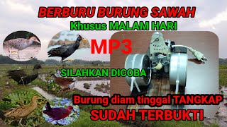 Download lagu Cara menangkap burung sawah paling ampuh ‼️ Alat HIPNOTIS segala jenis burung sawah ❗OTOK OTOK mp3 Download lagu Cara menangkap burung sawah paling ampuh ‼️ Alat HIPNOTIS segala jenis burung sawah ❗OTOK OTOK mp3