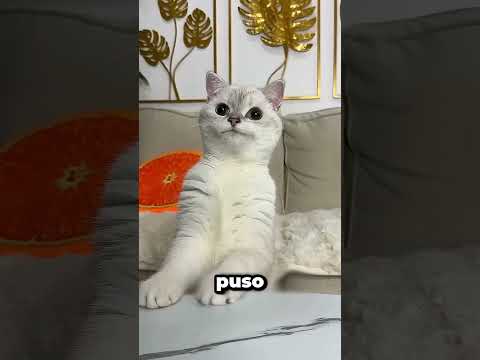 No Comas Tierra 😱