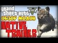 Native trainer для GTA 5 видео 1