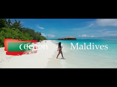 Videos del Cocoon Maldives 5★ en Atolón Lhaviyani, Maldivas
Ver Más
Ver
Precios
17
Cerrar
Consulta por Whatsapp 🇦🇷
Booking
Tripadvisor
Expedia
Agoda
Travelocity
Orbitz
Priceline
Trip
Skyscanner
Despegar
Kayak
Hoteles
Destinia
Trivago
Lastminute
Tui
Wotif