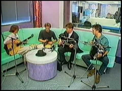 Nits - In The Dutch Mountains 1987 (acoustic)