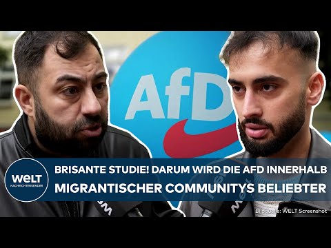 DEUTSCHLAND: Studie lässt tief blicken! Immer mehr Menschen mit Migrationsgeschichte wählen AfD!