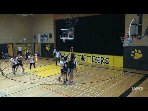 Aces vs Straw Hats - saturday tier 3 - tcbl 2022 fall