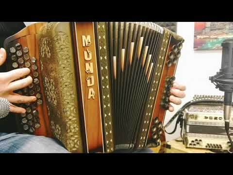 Nejc Kastelic - Po dekle (Solo harmonika)