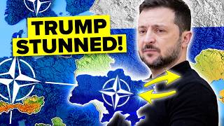 Zelenskyy’s SHOCKING Offer to NATO SHOCKS the World