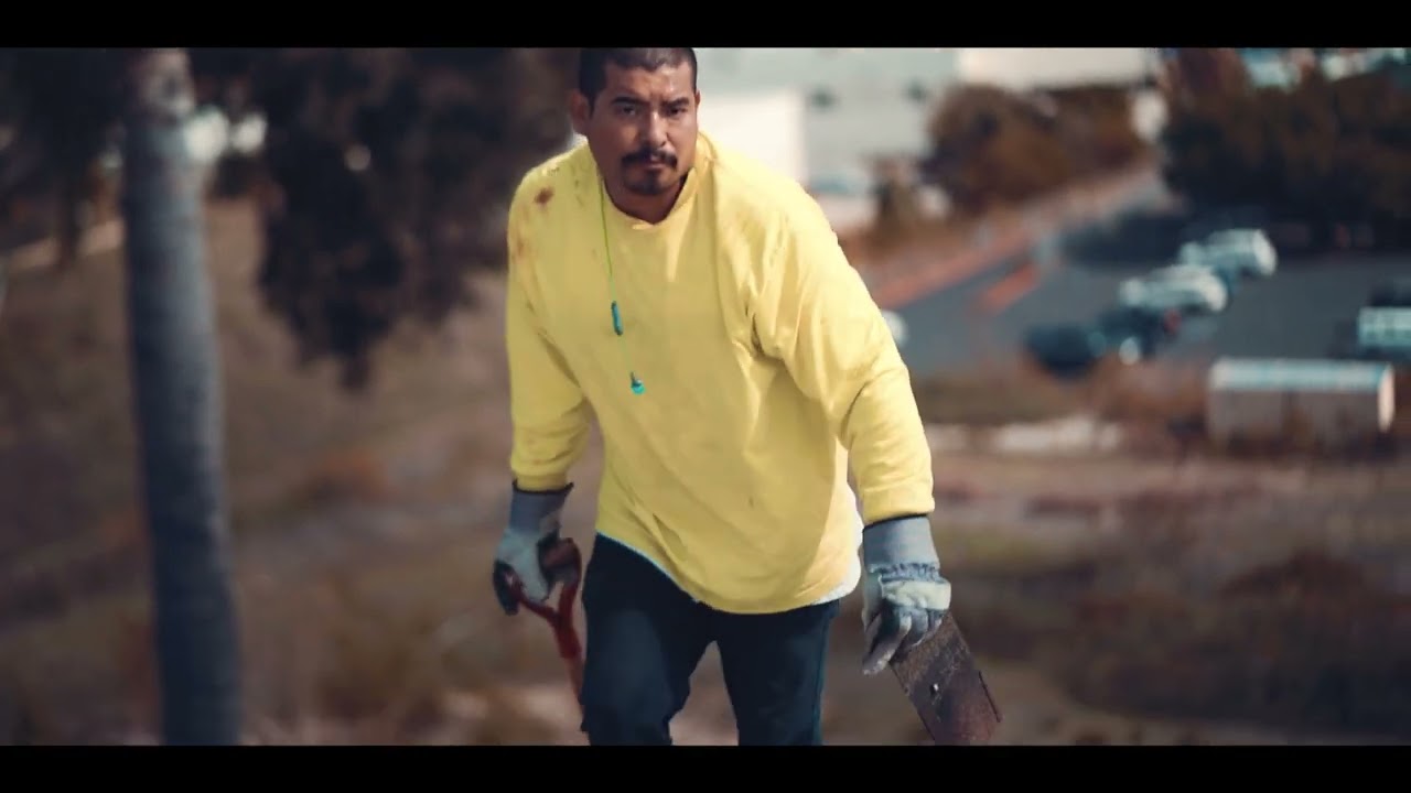 New Shingle Roof Installation by Dana Logsdon Roofing