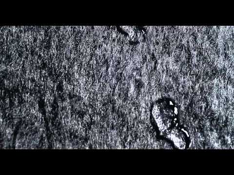 Song for the Mute   UNE Fall Winter 2015 HD