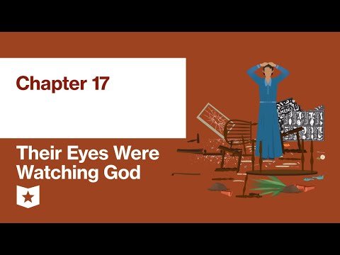 Their Eyes Were Watching God by Zora Neale Hurston | Chapter 17