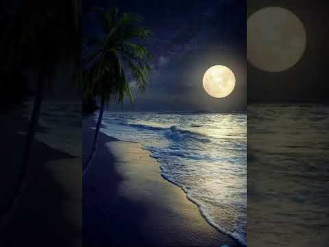 Flying Lotus x Adult Swim x Kendrick Lamar Type Beat- Full Moon