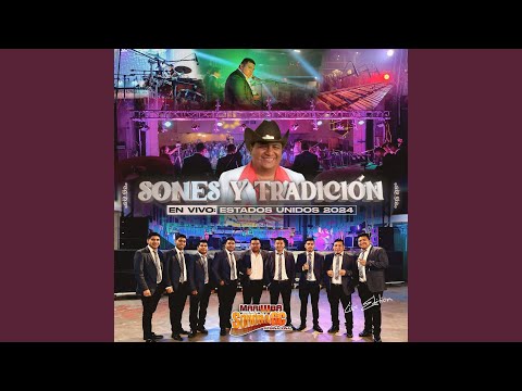Sentimientos de Sonora GC (En vivo)