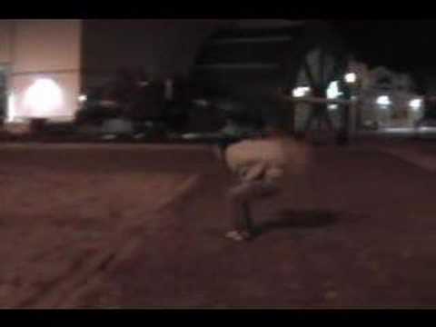 Chilliwack, BC: Backflip at the Leisure Center
