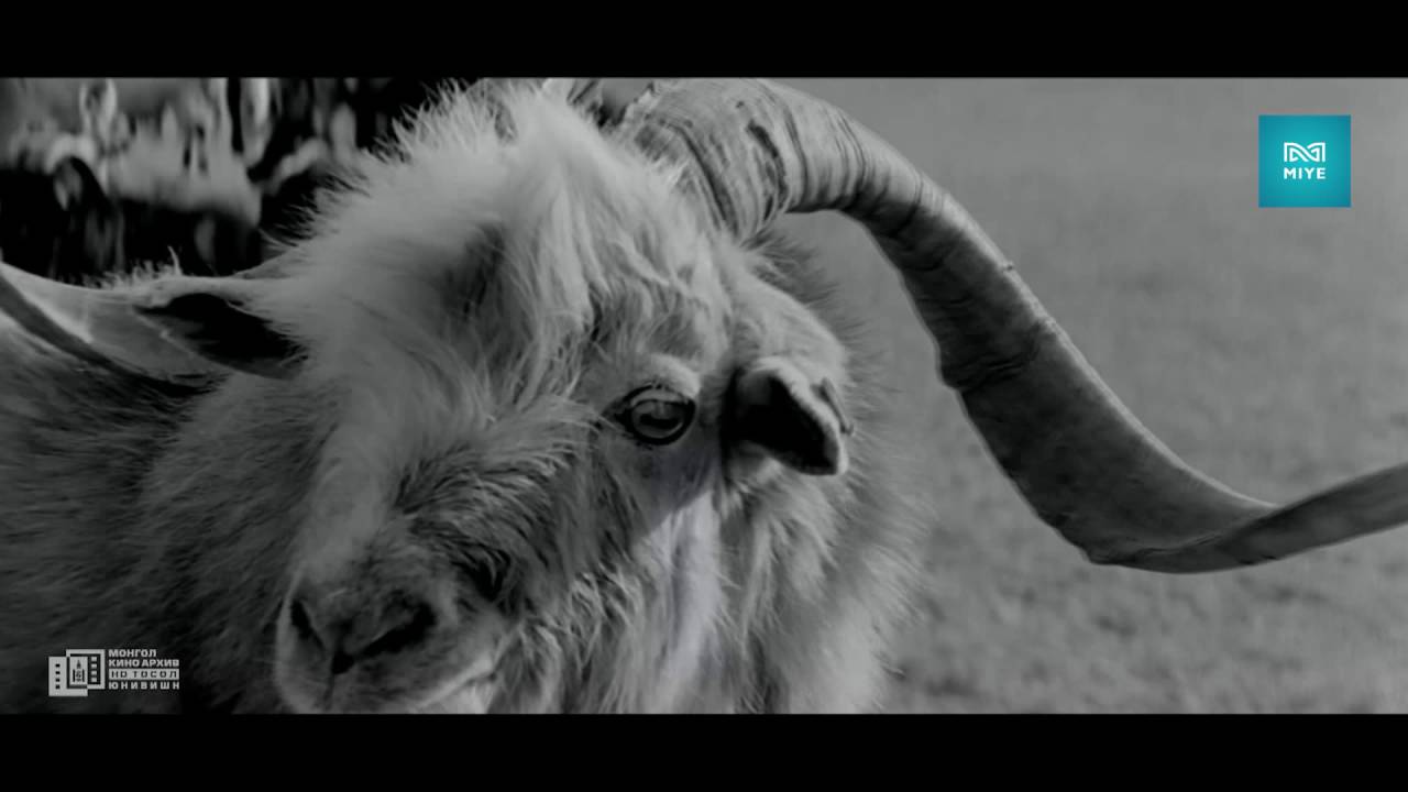 Моторын дуу / Motoriin duu