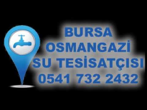 0541 732 2432