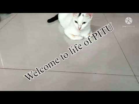 Little pitu playing with marbles.