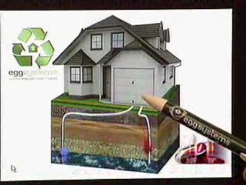 Egg Systems and Argonaut Studios on WTSP -- Erica Pitzi -- CBS Tampa