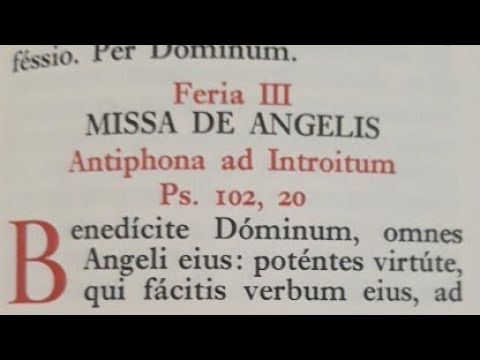 S. Messa 03/05/22 Votiva degli Angeli (1513)
