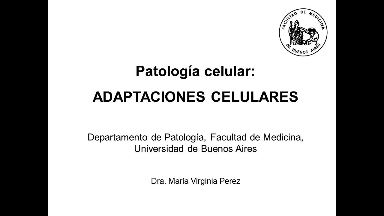 Clase 2: Adaptaciones celulares (Dra. Virginia Perez)