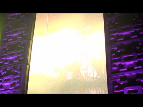 Sunrise Festival 2012  - Ashley Wallbridge