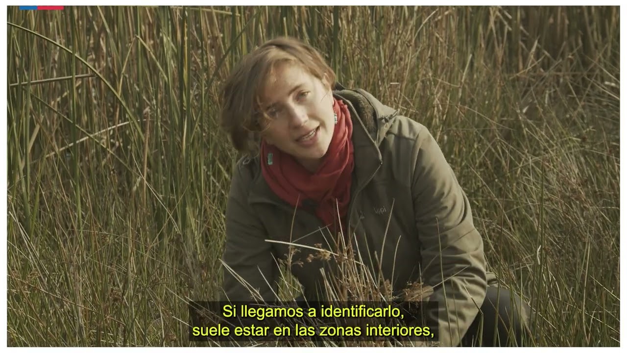 Módulo 2 Video 3 - Ejemplo indicador hidrología