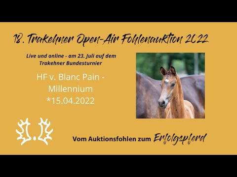 Kat.-Nr.18 HF v. Blanc Pain - Millennium