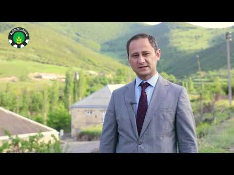 Tovuzda biçin davam edir. Növbəli olmağı unutmayaq.