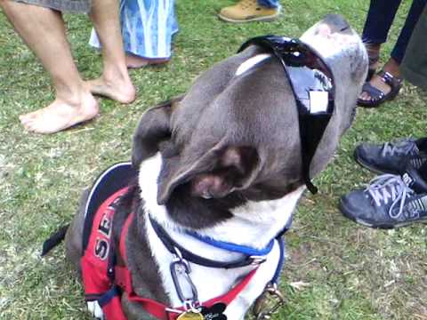 Wilhelmina von Lillihammer Londonderry Partydown