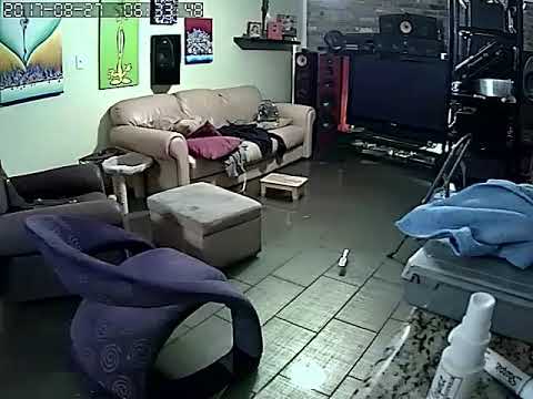 Harvey Oak Forest: TC Jester & Du Barry - 6:30am