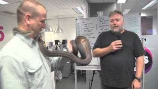 'The Bug Man' strikes again; petrifies boss