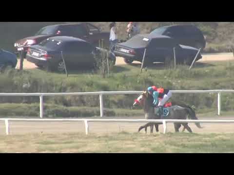 CARRERAS SINT COLONIA - 220825 c04 1° MR. BILLY