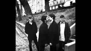 money - bluebell fields