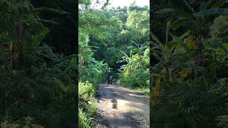 Download lagu Jalan Pedesaan #jalan #village #villagelife #shorts mp3