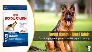 Royal Canin Maxi Adult - відео 3