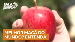 Miniatura do vídeo