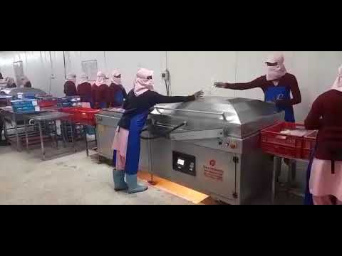 Heavy Duty Automatic Double Chamber Vacuum Packing Machine