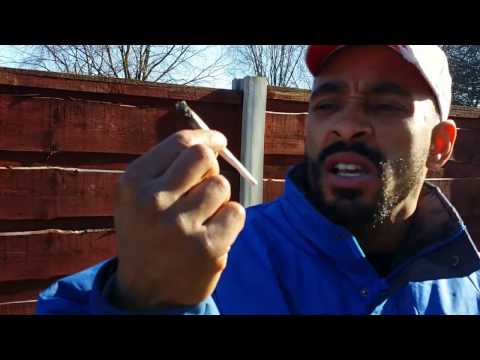 Shit Nut spices up his life - Guillotine Mack